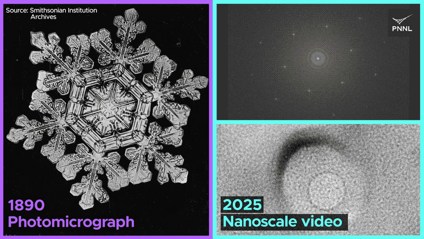 Molecular-Resolution Observations Reveal Ice's Malleability and Gas Entrapment