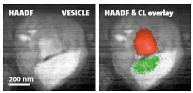 Simultaneous cathodoluminescence and electron microscopy