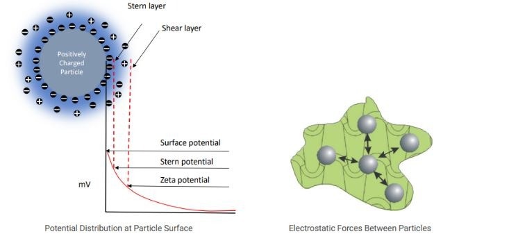 BeNano 180 Zeta Pro - Particle Size Analysis
