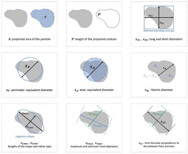 BeVision D2 - Dynamic Image Analyzer