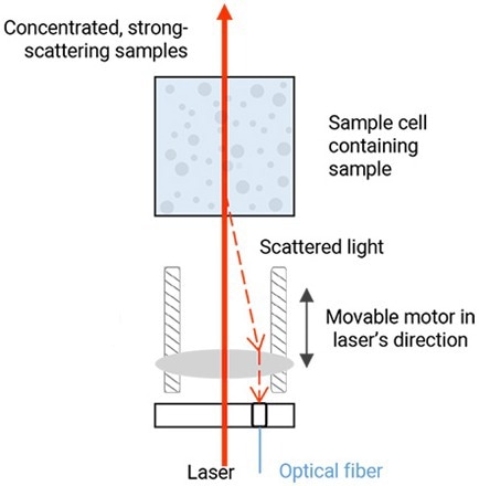 BeNano 180 Zeta Pro - Nanoparticle Size and Zeta Potential Analyzer