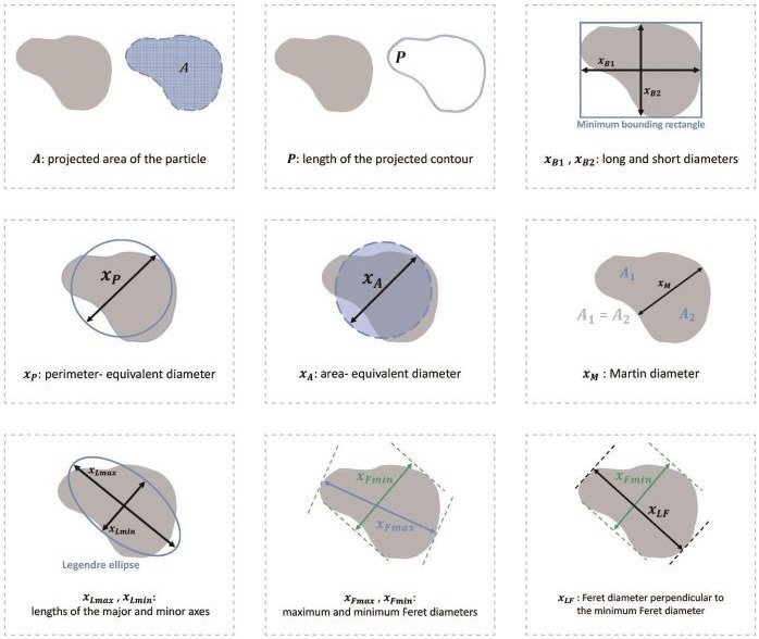 BeVision S1 - Static Image Analyzer