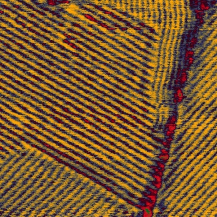 AFM Image Gallery. C36 alkanes