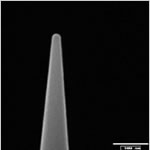 Coated AFM Tip - Extended Life High Aspect Ratio from Team Nanotec