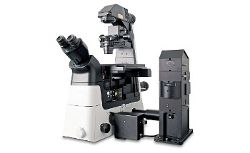 Inverted Raman Imaging Microscope: WITec alpha300 Ri