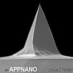 Applied Nanostructures Silicon Probes