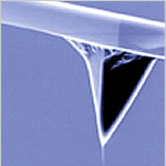 Universal AFM Probes from Nanotools