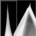 Super Sharp Silicon AFM Tips from NanoWorld