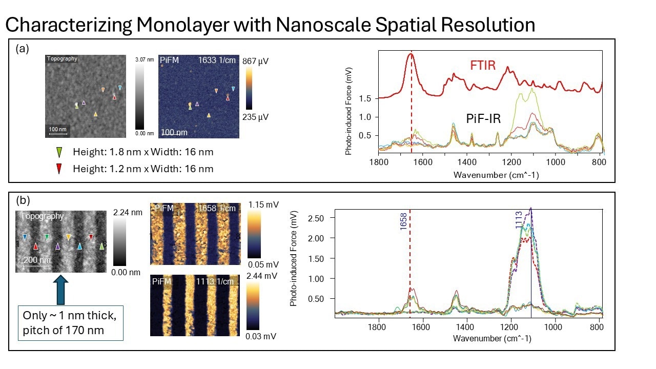 PiFM and its Role in Nanoscale Chemical Imaging