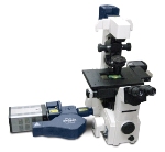 New Opterra Multipoint Scanning Confocal Microscope Launched by Bruker