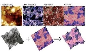 Characterization of Lithium Ion Batteries Using the PeakForce TUNA Method