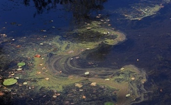 Removing Waste Through Photocatalytic Nanocomposite Fibres