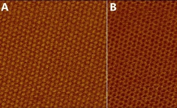 Using AFM to Analyze Graphene