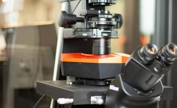 Using Biological Atomic Force Microscopy (Bio-AFM) on Live Cells