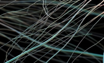 Electrospinning and the Future of Nanotechnology: A Conversation with Dr. Seeram Ramakrishna