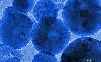 Conversations on AFM: How AI is Automating Scanning Probe Microscopy