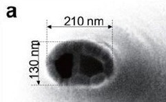 SECCM Imaging of Highly Oriented Pyrolytic Graphite Activity