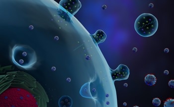 Novel On-Chip Magnetic Extraction System for Effective Extraction of Exosomes