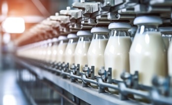 Breakthrough in Food Safety: New Nanocomposite Effectively Adsorbs Harmful PAHs