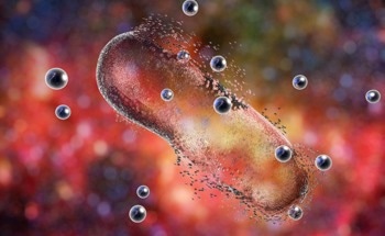 Mitigating Acrylamide Toxicity with Chitosan-Coated Probiotic Nanoparticles in Drosophila