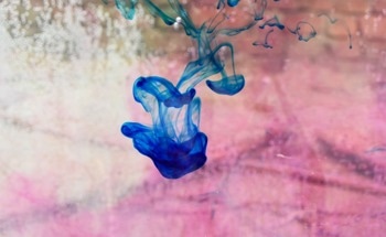 Sustainable ZnO Nanoparticles for Methylene Blue Cleanup