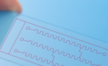Microfluidic Platforms for Monitoring Cardiomyocyte Activity: A Review