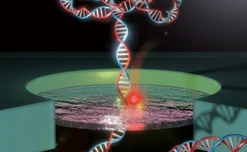 Electrically Controlled Nanogate for Single-Molecule Manipulation and Sensing