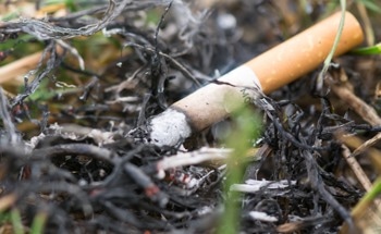 Cigarette Waste as a Source for Sustainable Supercapacitors