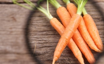 The Future of Multiplex Nanosensors in Food Safety