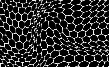 Nanosheet-to-Nanorod Shift Boosts Catalyst Efficiency for Green Hydrogen