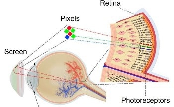 Minimal Pixels Achieve the Highest Possible Resolution Visible to the Human Eye