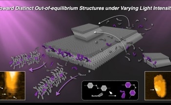 Light-Intensity-Dependent Transformation of Mesoscopic Molecular Assemblies