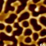 Enhancement of Traditional Electron Microscopy Applications with AFM from Bruker