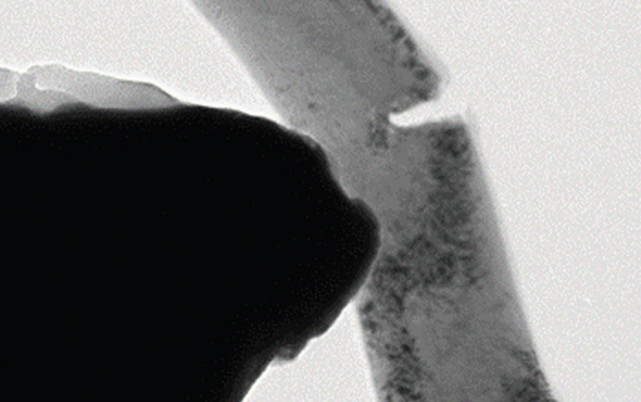 Hysitron PI SEM 89 PicoIndenter—For Quantitative In-Situ Nanomechanics