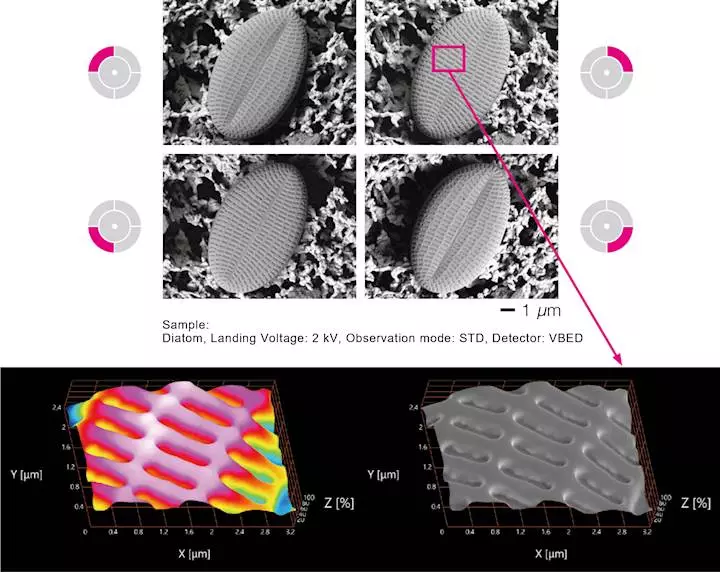 JSM-IT80: A High-Precision Field Emission SEM