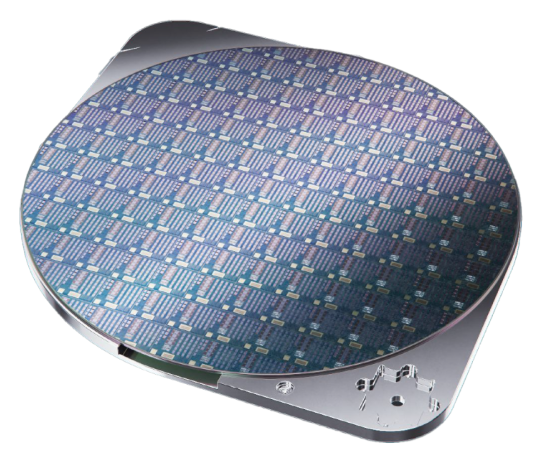 Advanced AFM for Small Samples with the Park FX200