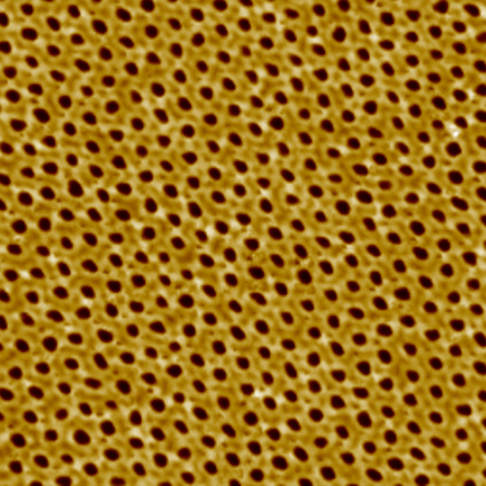 AFM Image Gallery. Organic SAM