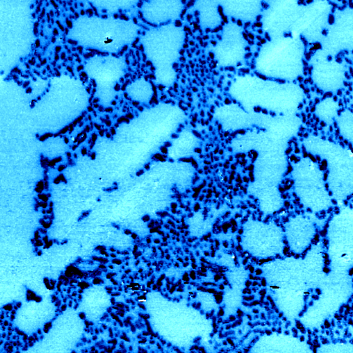 AFM Image Gallery. Aluminum alloy