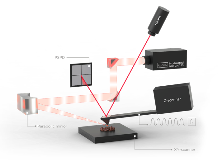 AFM-Integrated Nanoscale IR Spectroscopy with the Park Nano-IR