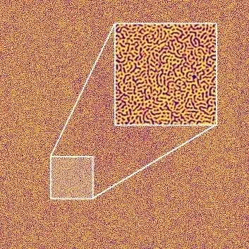 Phase image of styrene butadiene block copolymer (SBC), collected in TappingMode with an RTESPA probe. Full scan size is 5x5 µm, 2560x2560 px. Inset is a digital zoom showcasing the data density and level of detail retained.