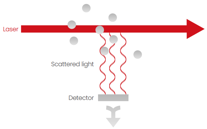Most light passes through the sample without being scattered