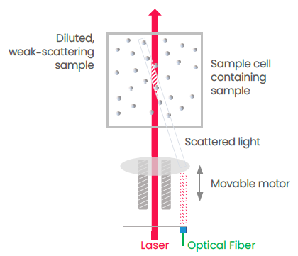The detection point in the middle of the sample cell