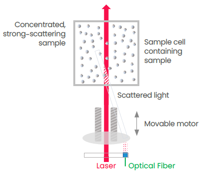 The detection point at the edge of the sample cell