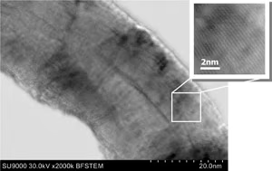 Sample: Multi wall carbon nano tube (lattice fringes); Vacc: 30 kV; Mag.: 2,000kx; Bright Field(BF)-STEM image.