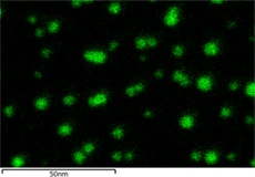 Elemental EDX map (Au M) at 30 kV. The size of the nano-particles is in the range of 5-10 nm. Acquisition time is 3.5 min at a current of 1 nA.