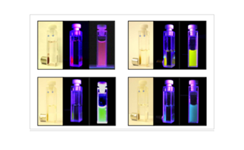 FeOx Conjugated Polymer Nanoparticles