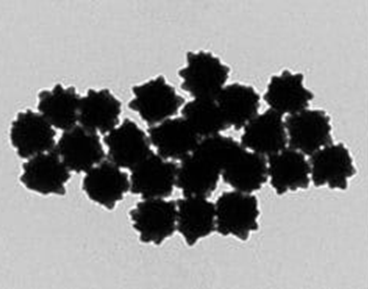 Gold NanoUrchins Provided by Merck