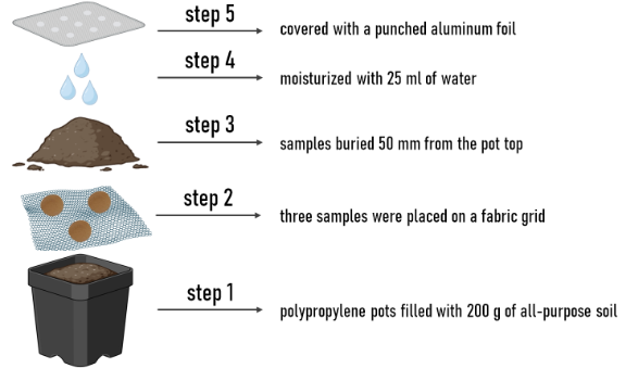 Image of the biodegradation process.