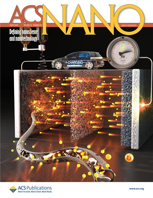 The Realization of a More Stable and Powerful Li-Metal Battery