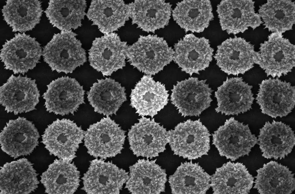 High resolution SEM images capturing how gold nanodisks transform into more complex nanoscalestructures.